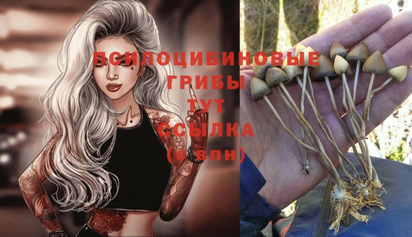 ALPHA PVP Абаза
