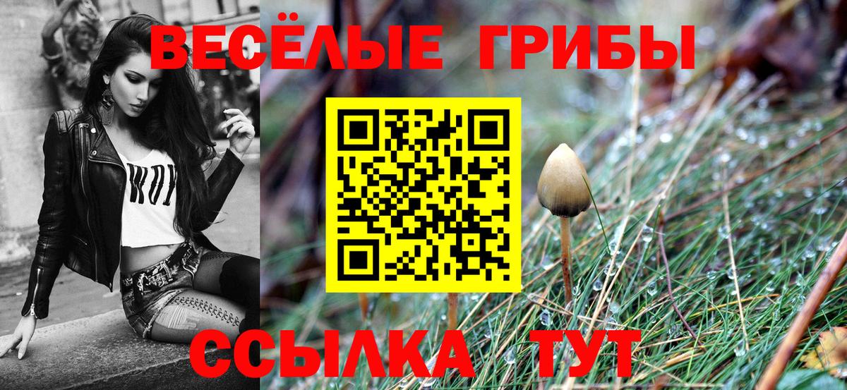 Галлюциногенные грибы Magic Shrooms Ишимбай