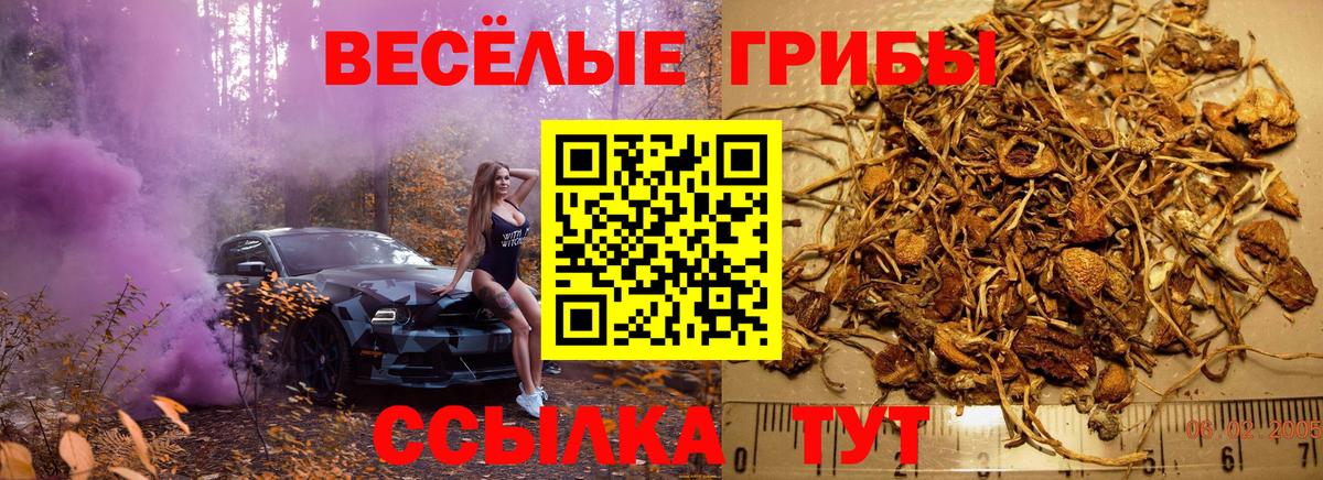 Псилоцибиновые грибы мицелий  Вход с VPN  Ишимбай 